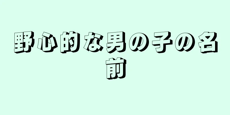 野心的な男の子の名前