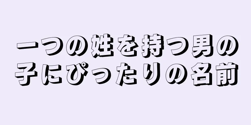 一つの姓を持つ男の子にぴったりの名前
