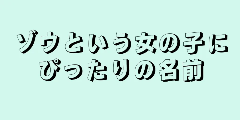 ゾウという女の子にぴったりの名前
