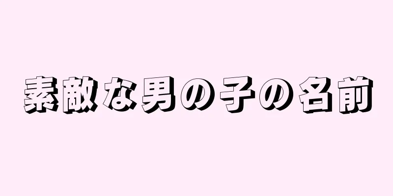 素敵な男の子の名前