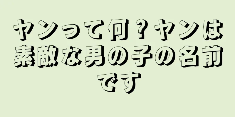 ヤンって何？ヤンは素敵な男の子の名前です