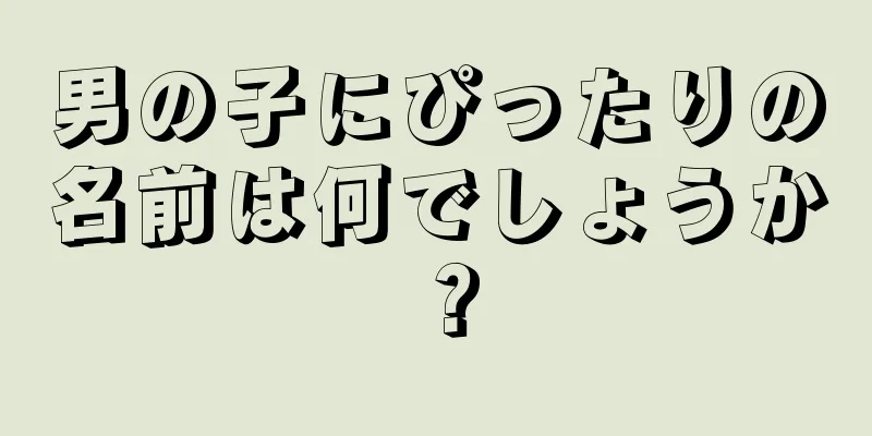 男の子にぴったりの名前は何でしょうか？