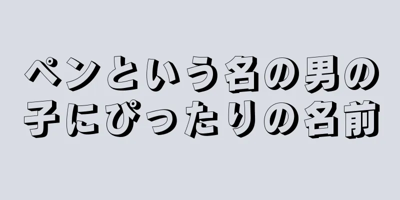 ペンという名の男の子にぴったりの名前