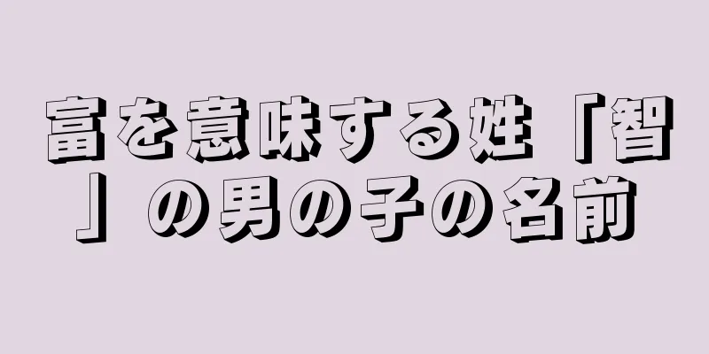 富を意味する姓「智」の男の子の名前