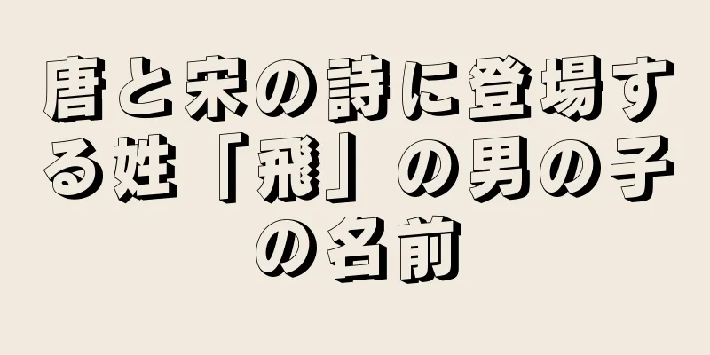 唐と宋の詩に登場する姓「飛」の男の子の名前