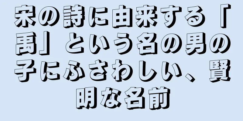 宋の詩に由来する「禹」という名の男の子にふさわしい、賢明な名前