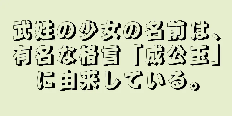 武姓の少女の名前は、有名な格言「成公玉」に由来している。