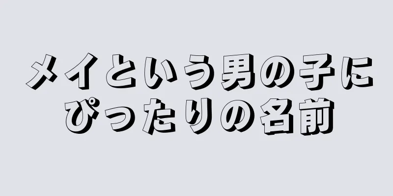 メイという男の子にぴったりの名前