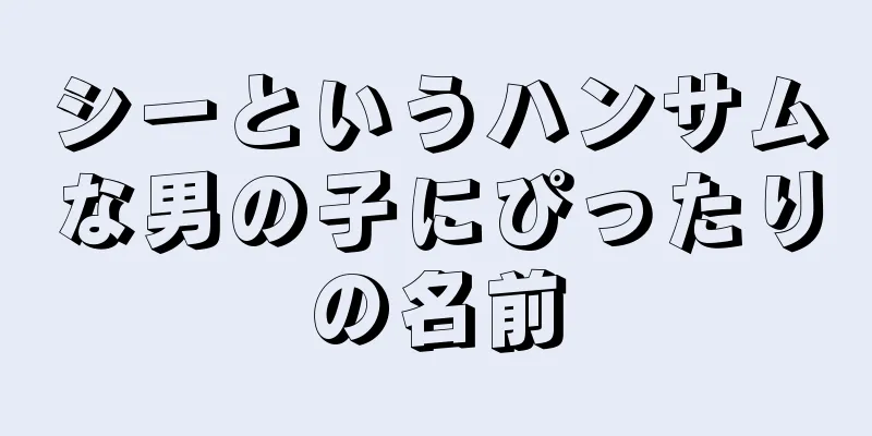 シーというハンサムな男の子にぴったりの名前