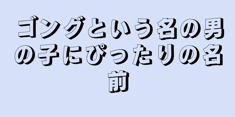 ゴングという名の男の子にぴったりの名前