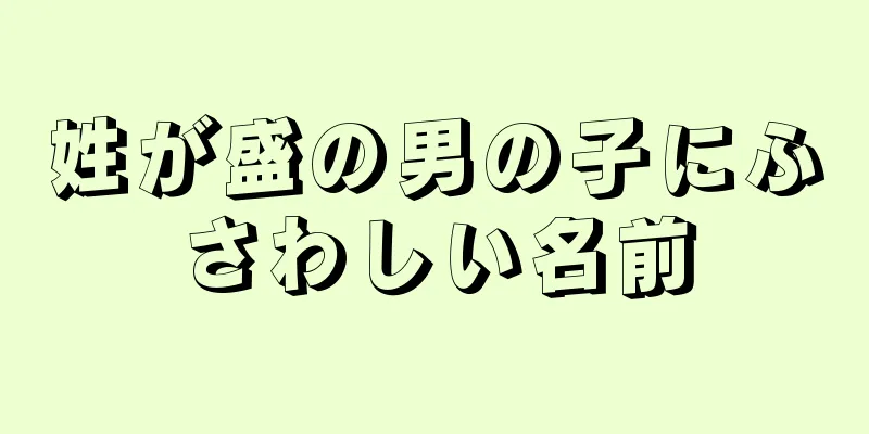 姓が盛の男の子にふさわしい名前