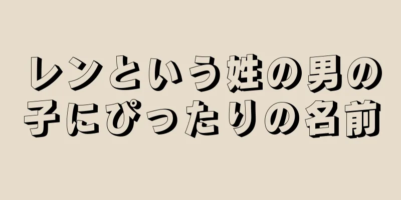 レンという姓の男の子にぴったりの名前