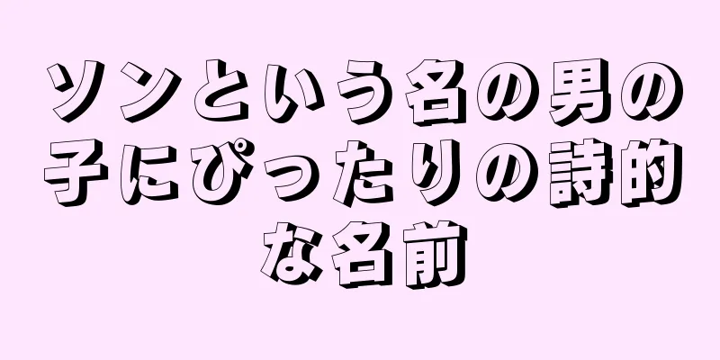 ソンという名の男の子にぴったりの詩的な名前