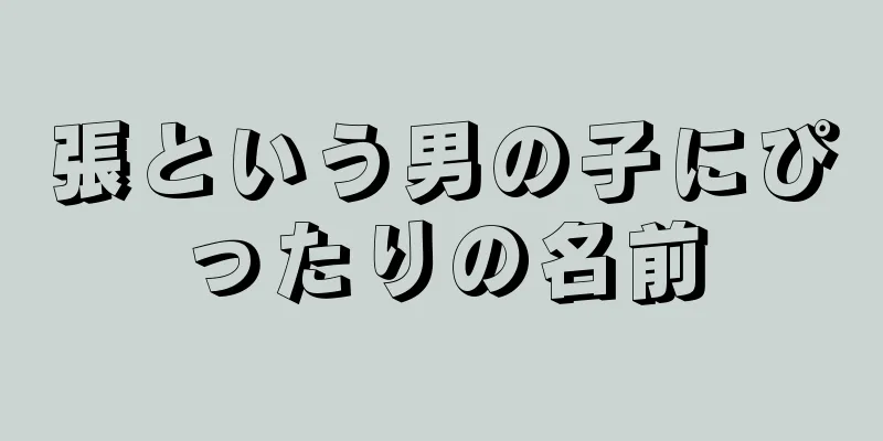 張という男の子にぴったりの名前