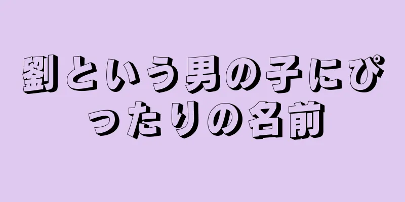 劉という男の子にぴったりの名前