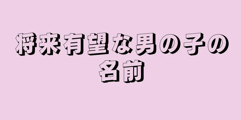 将来有望な男の子の名前