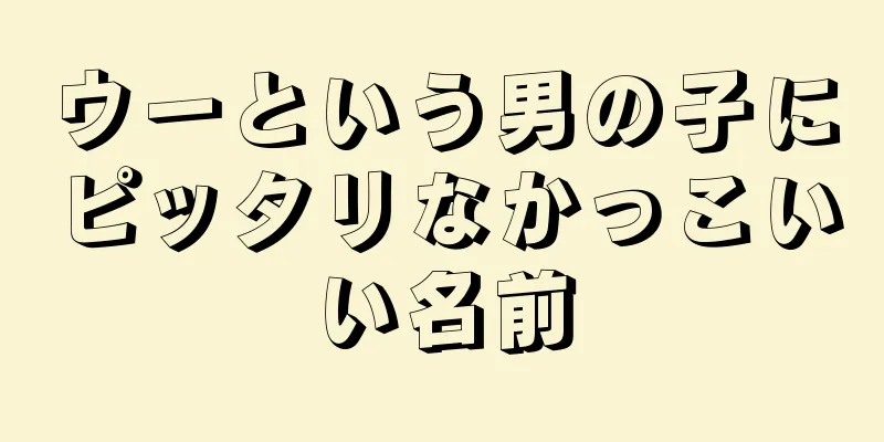 ウーという男の子にピッタリなかっこいい名前