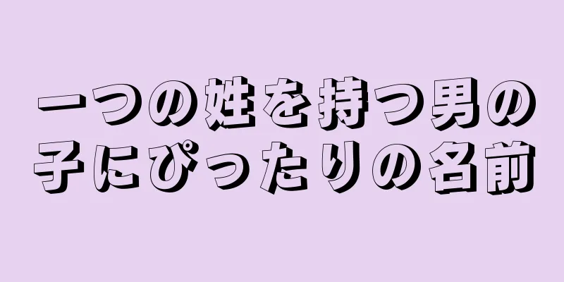 一つの姓を持つ男の子にぴったりの名前