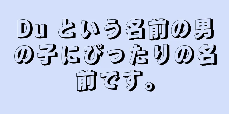 Du という名前の男の子にぴったりの名前です。