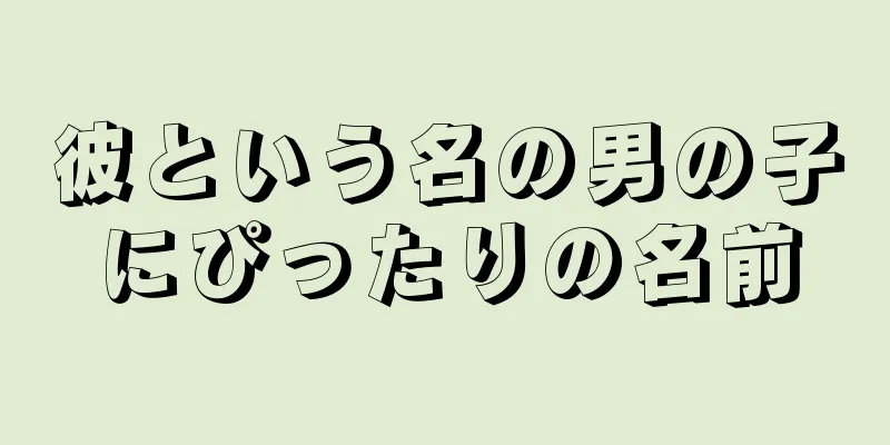 彼という名の男の子にぴったりの名前