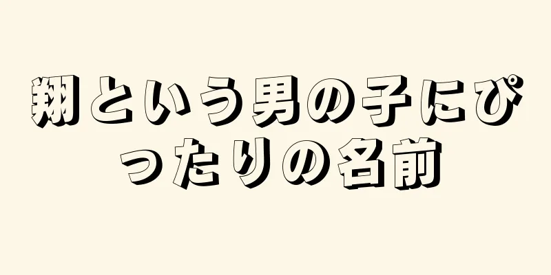 翔という男の子にぴったりの名前