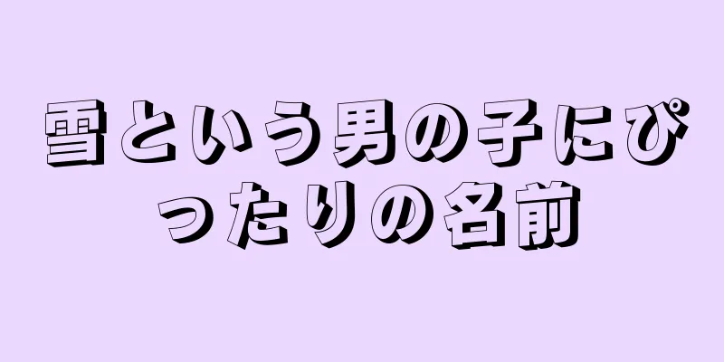 雪という男の子にぴったりの名前
