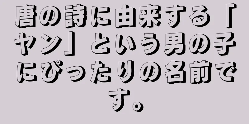 唐の詩に由来する「ヤン」という男の子にぴったりの名前です。