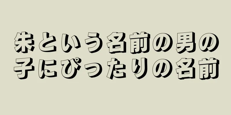 朱という名前の男の子にぴったりの名前