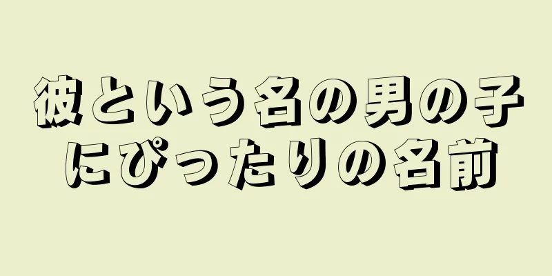 彼という名の男の子にぴったりの名前