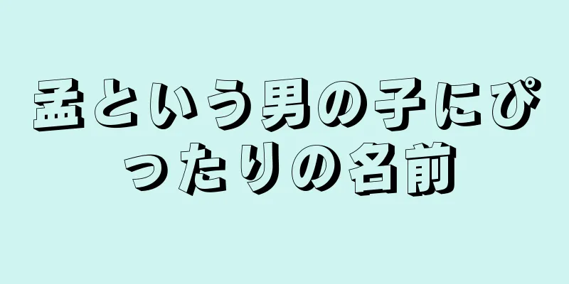 孟という男の子にぴったりの名前