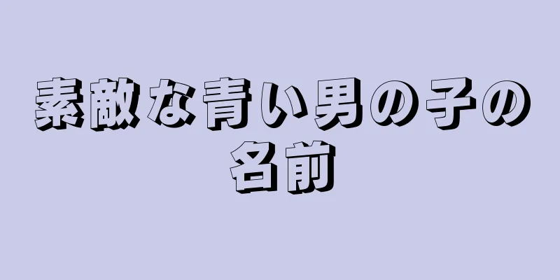 素敵な青い男の子の名前