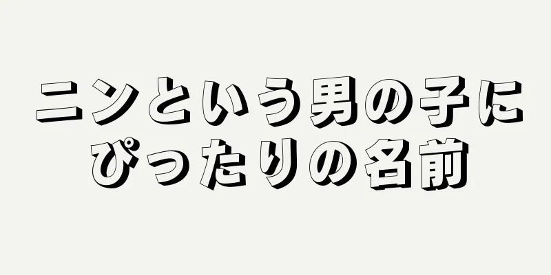 ニンという男の子にぴったりの名前