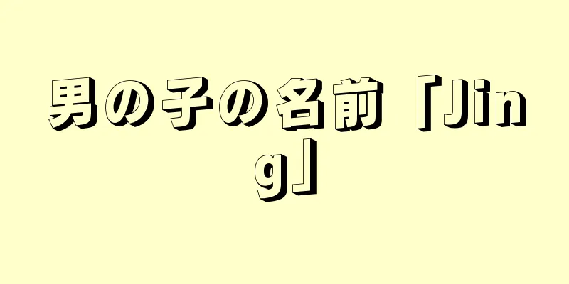 男の子の名前「Jing」