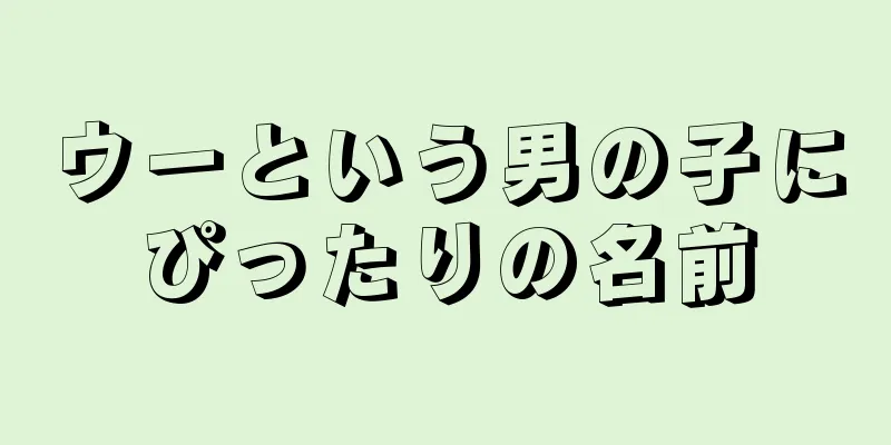 ウーという男の子にぴったりの名前