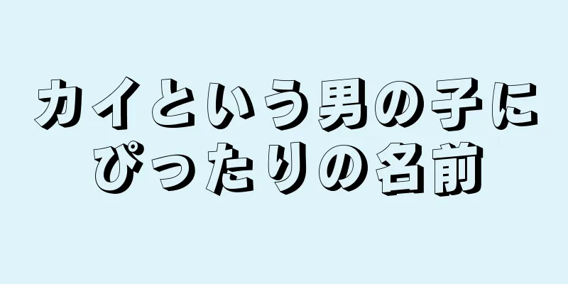 カイという男の子にぴったりの名前
