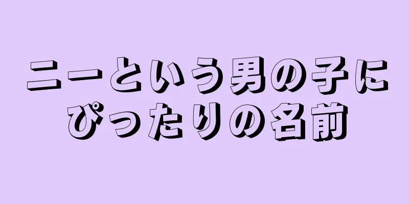 ニーという男の子にぴったりの名前