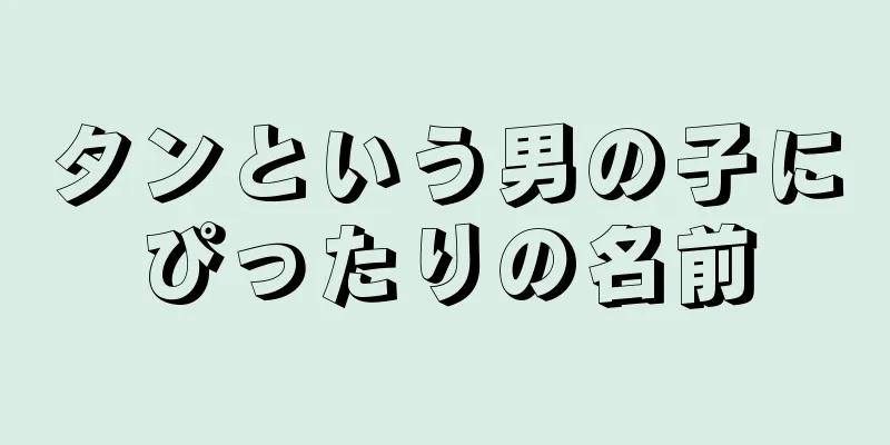 タンという男の子にぴったりの名前