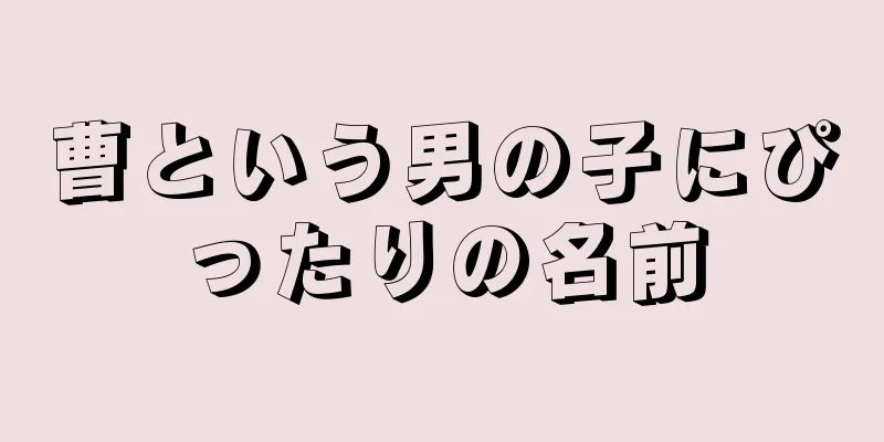 曹という男の子にぴったりの名前