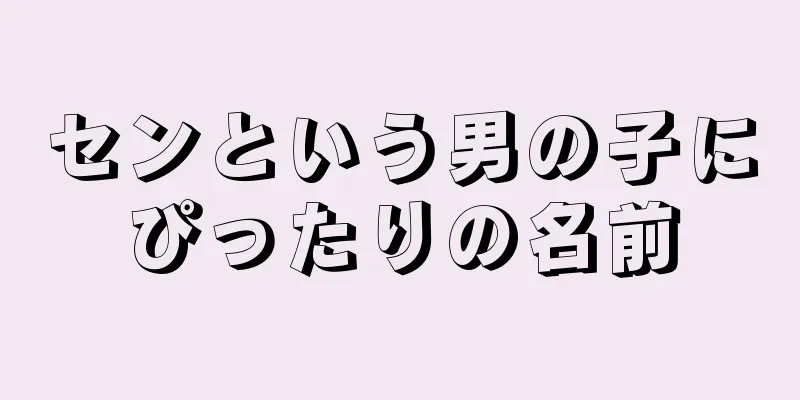 センという男の子にぴったりの名前
