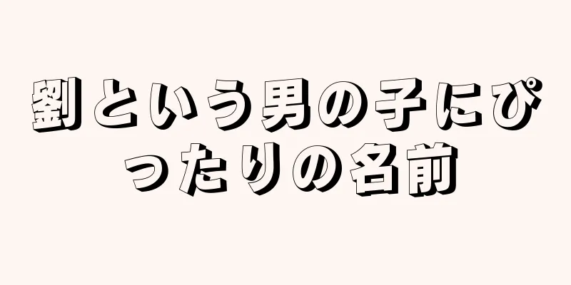 劉という男の子にぴったりの名前