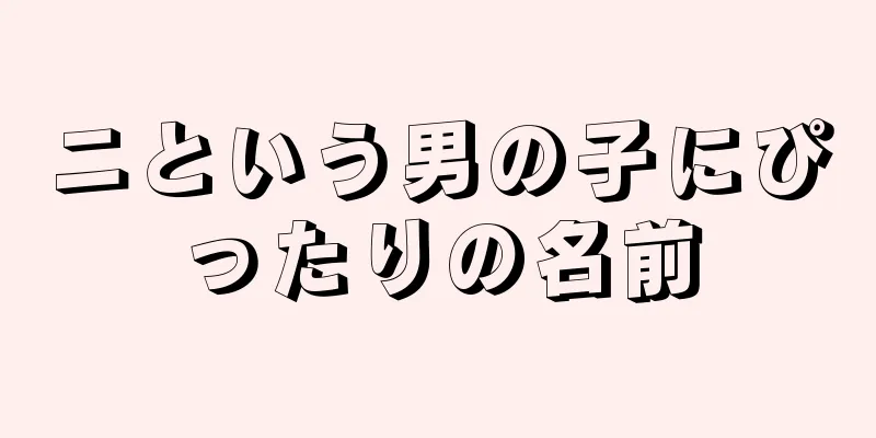 ニという男の子にぴったりの名前