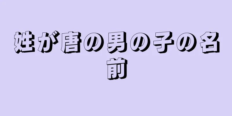 姓が唐の男の子の名前