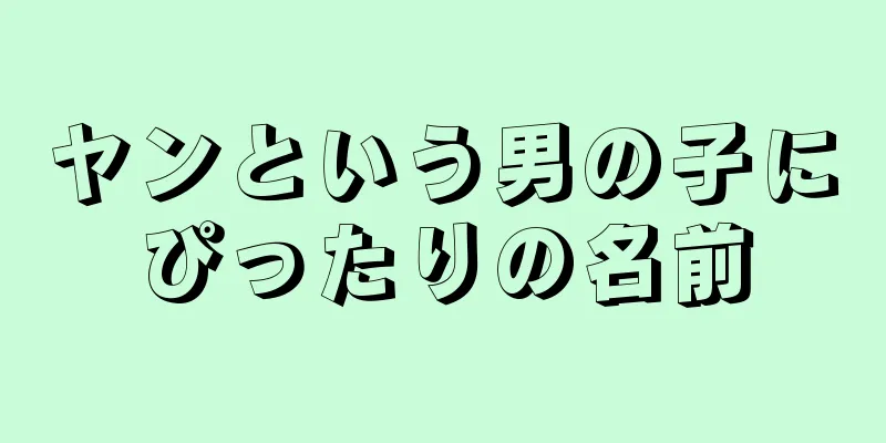 ヤンという男の子にぴったりの名前