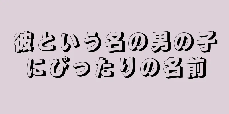 彼という名の男の子にぴったりの名前