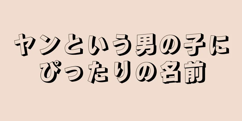ヤンという男の子にぴったりの名前