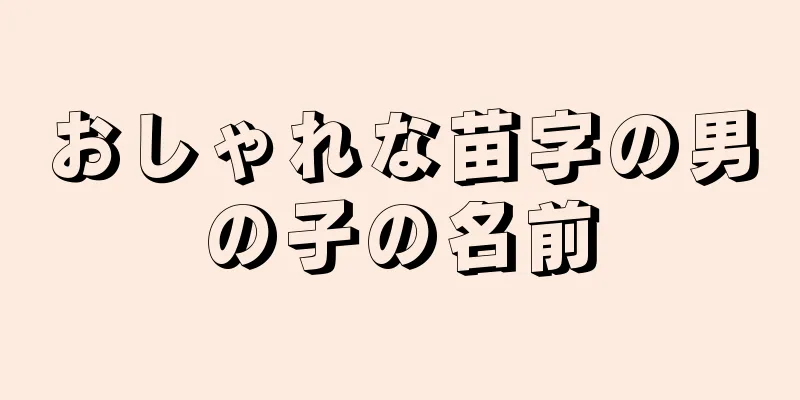 おしゃれな苗字の男の子の名前