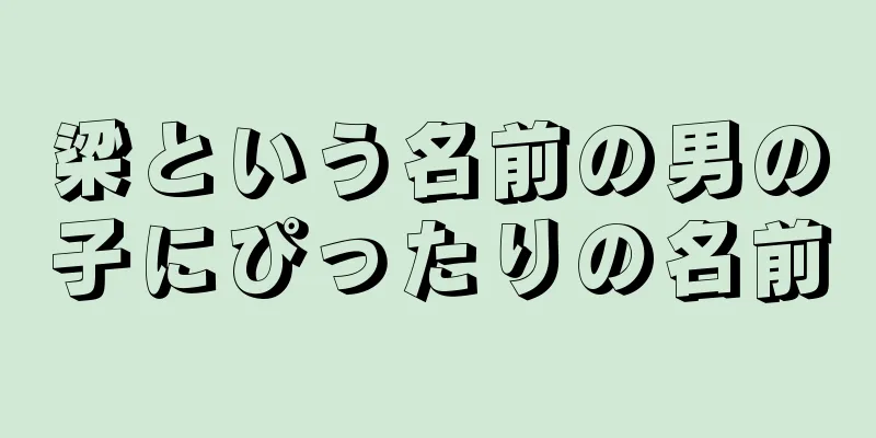 梁という名前の男の子にぴったりの名前