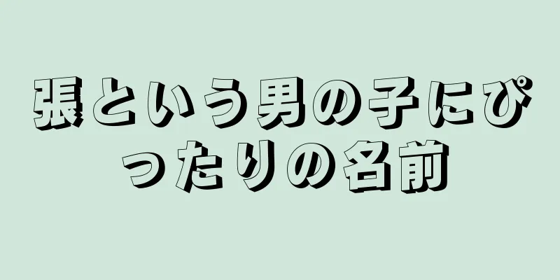 張という男の子にぴったりの名前