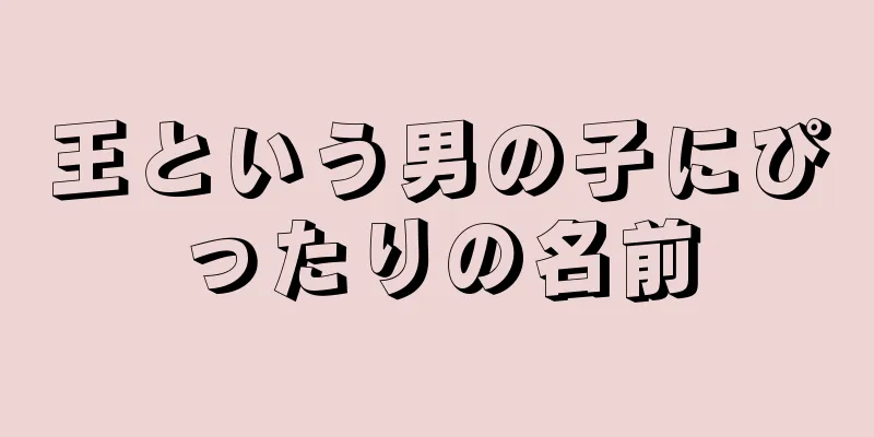 王という男の子にぴったりの名前