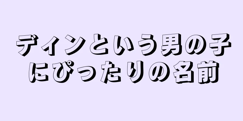 ディンという男の子にぴったりの名前